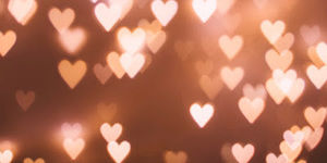 Meet your Posher, Lizbeth